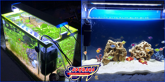  Xilong LED-MS30, 8 .