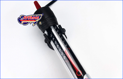   , Xilong XL-282, 100 .
