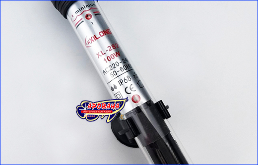   , Xilong XL-282, 100 .