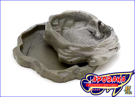 Zoo Med Combo Repti Rock Reptile Food and Water Dishes, -             .