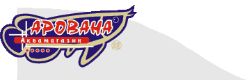 зообизнес