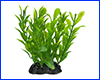  , Ludwigia repens, 10 .