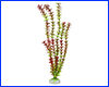 Растение искусственное,   Ambulia, красно-зелёная, 40 см.