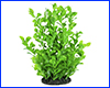 Рослина штучна, Ludwigia repens, 25 см. Рослина штучна, Ludwigia repens, 25 см.