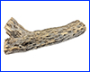  AQUAXER,     Cholla 2, 32 .