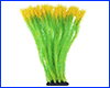  , Pogostemon, -, 35 .