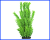 Растение искусственное,   Myriophyllum, зелёный, 40 см.