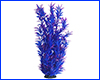  , Nomaphila stricta, -, 55 .