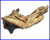 Коряга Trixie, №8981, мопани малая, 20-13 см. Коряга Trixie, №8981, мопани малая, 20-13 см.