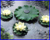  Aquael Solar Lilly Light Trio, .