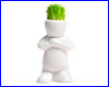  Hair Man Plant 3 (  ).