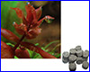 Удобрение AQUAXER Laterite 7. Удобрение AQUAXER Laterite 7.