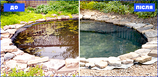 Результати використання Cidex Pond. Цвітіння води у ставках: від розуміння до дії
