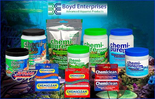  Boyd Enterprises     .
