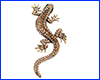 Брошка гекон, Gecko Yellow, 6.5х3 см. Брошка гекон, Gecko Yellow, 6.5х3 см.