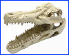 Декорація Aqua Nova, Crocodile Skull, 12.5 см. Декорація Aqua Nova, Crocodile Skull, 12.5 см.