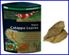  Dennerle Nano Catappa Leaves 12 .