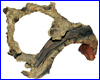  Dennerle Nano Decor Crusta Wood M, .
