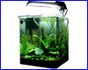 Аквариум Dennerle Nano Cube Complete Plus (комплект), 10 л. Аквариум Dennerle Nano Cube Complete Plus (комплект), 10 л.