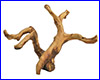  Dennerle Nano Decor Moor Wood, .