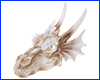    HOBBY, Dragon Skull, 14 . !