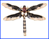 Брошка бабка, Dragonfly Black, 4.6х3.3 см. Брошка бабка, Dragonfly Black, 4.6х3.3 см.