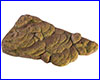   , Exo-Terra Turtle Bank M.