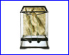     , Exo Terra Glass Terrarium, 303045 .