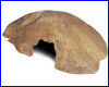  ,  Exo Terra Reptile Cave  Medium.