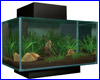 Аквариум, Hagen Fluval EDGE, черный, 23 л. Аквариум, Hagen Fluval EDGE, черный, 23 л.