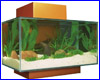 Аквариум, Hagen Fluval EDGE, оранжевый, 23 л. Аквариум, Hagen Fluval EDGE, оранжевый, 23 л.