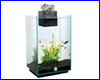 Аквариум, Fluval Chi Aquarium, 25 л. Аквариум, Fluval Chi Aquarium, 25 л.