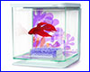 Аквариум, Hagen Marina Betta Kit Flower 2 л, для петушка, белый. Аквариум, Hagen Marina Betta Kit Flower 2 л, для петушка, белый.