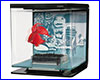 Аквариум, Hagen Marina Betta Kit Wild Thing 2 л, для петушка, черный. Аквариум, Hagen Marina Betta Kit Wild Thing 2 л, для петушка, черный.