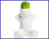  Hair Man Plant 2 ().