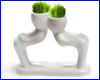  Hair Man Plant 5 ( ).