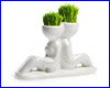  Hair Man Plant 7 ( ).