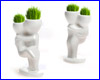  Hair Man Plant 8 (,  ).