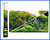   , Hobby, Planted River/Green Rocks, 50100 .