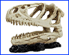  HOBBY, Tyrannosaurus Rex, 14 . ֲ!
