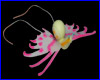 Декорация Jellyfish (улитка красная). Декорация Jellyfish (улитка красная).