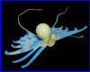  Jellyfish ( ).
