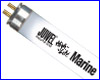  T5, Juwel High-Lite Marine 35 , 742 .
