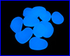  AQUAXER, Glowing Stone White/Blue.