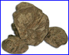 Камень Keishou Stone Gray, 5-10 см, 5 кг. Камень Keishou Stone Gray, 5-10 см, 5 кг.