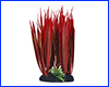 Рослина штучна, Cyperus helferi, червоний, 13 см. Рослина штучна, Cyperus helferi, червоний, 13 см.