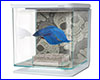 Аквариум, Hagen Marina Betta Kit Skull 2 л, для петушка, белый. Аквариум, Hagen Marina Betta Kit Skull 2 л, для петушка, белый.