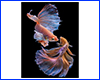 Картина Betta fish, 40х60 см, півник вуалєвий мультиколор. Картина Betta fish, 40х60 см, півник вуалєвий мультиколор.