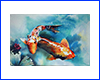 Картина Koi, 20х30 см, коропи у ставку. Картина Koi, 20х30 см, коропи у ставку.