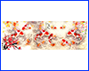 Картина Koi, 50.5х151 см, 9 карпов и сакура. Картина Koi, 50.5х151 см, 9 карпов и сакура.